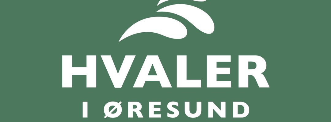 Hvaler til karrusellen 2000x740.jpg