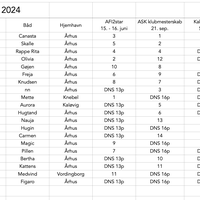 Aarhus pokal 2024