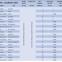 Skærmbillede 2024-12-03 kl. 19.48.01.png