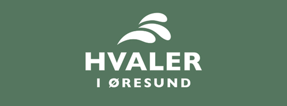 Skærmbillede 2026-03-03 kl. 09.23.13.png